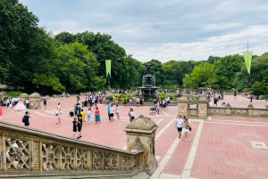 NYC: Central Park Guided Pedicab Tour