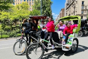 New York City: Central Park Guided Pedicab Tour