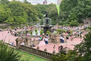 New York City: Central Park Guided Pedicab Tour