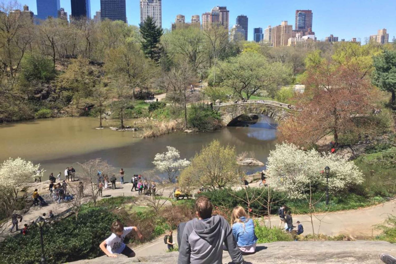 New York City: Central Park Highlights Walking Tour