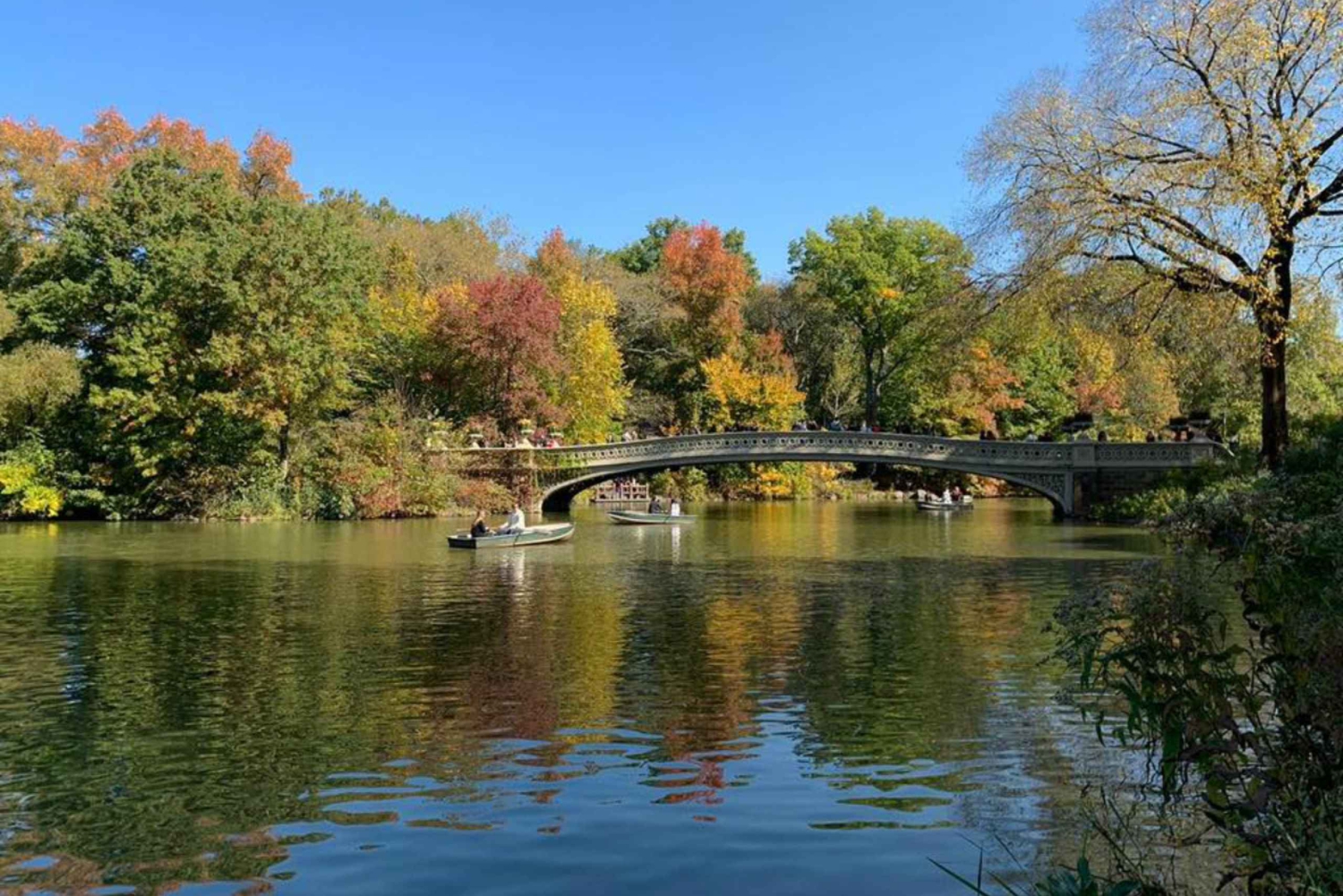 New York City: Central Park Highlights Walking Tour
