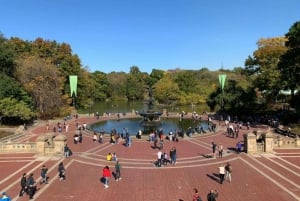 New York: Rundgang zu den Highlights im Central Park