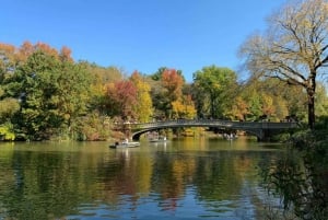 New York: tour a piedi delle attrazioni di Central Park