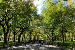 New York City: Central Park Highlights Walking Tour
