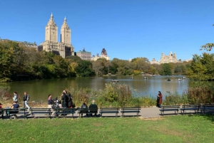 New York City: Central Park Highlights Walking Tour
