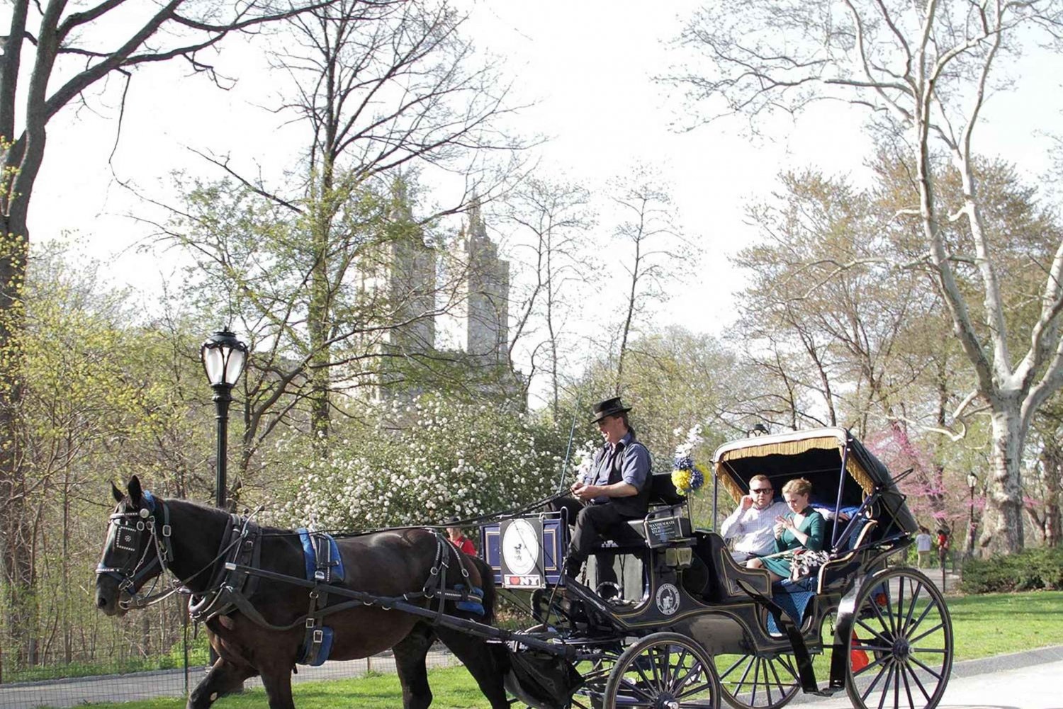 New York City: Central Park Pferdekutsche 25-min Fahrt