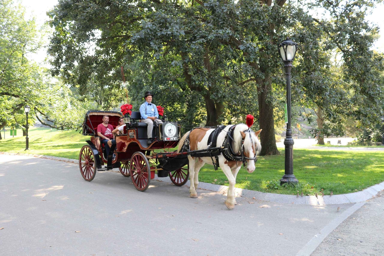 New York City: Central Park Horse Carriage 25-min Ride
