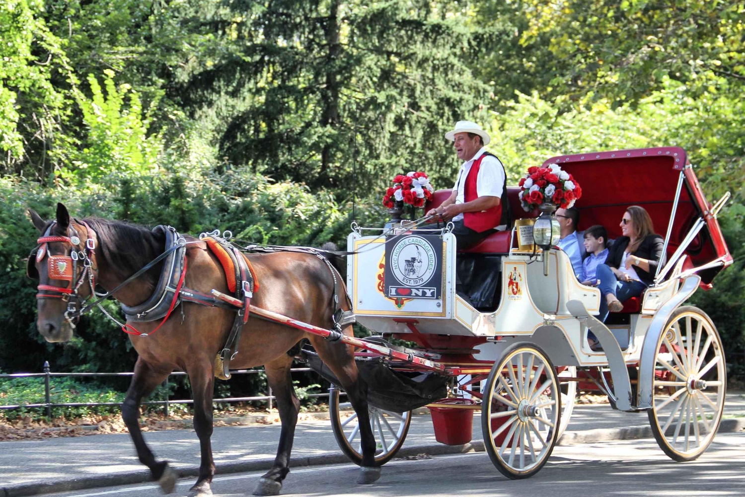 New York City: Central Park Horse Carriage 25-min Ride