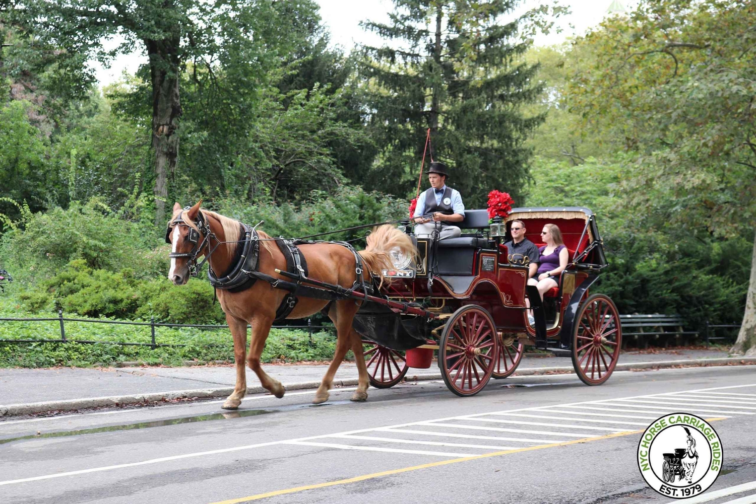 New York City: Central Park Horse Carriage 25-min Ride