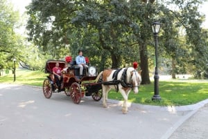 New York City: Central Park Pferdekutsche 25-min Fahrt