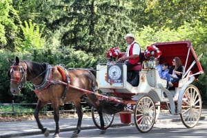 New York City: Central Park Hestevogn 25 minutters tur