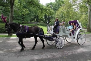 New York City: Central Park Hestevogn 25 minutters tur