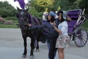 Ciudad de Nueva York: Paseo de 25 minutos en coche de caballos por Central Park