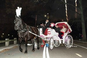 New York: Central Park Paardenkoets 25-minutenrit