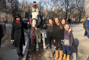 Cidade de Nova York: Passeio de 25 minutos de carruagem a cavalo no Central Park