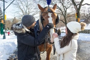 Cidade de Nova York: Passeio de 25 minutos de carruagem a cavalo no Central Park