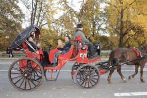 New York City: Central Park Horse Carriage 25-min Ride