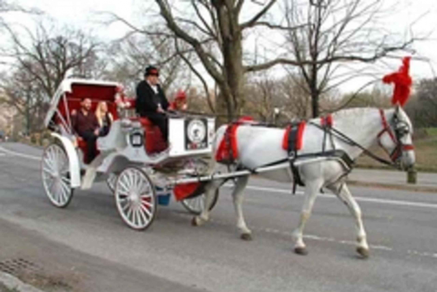 New York City: Central Park Pferdekutsche 45-min Fahrt