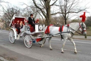 Cidade de Nova York: Passeio de 45 minutos de carruagem a cavalo no Central Park