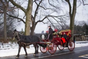 Cidade de Nova York: Passeio de 45 minutos de carruagem a cavalo no Central Park