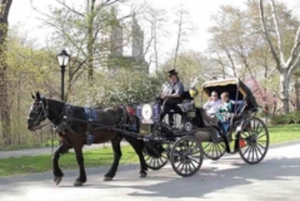 Cidade de Nova York: Passeio de 45 minutos de carruagem a cavalo no Central Park