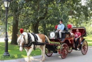 New York: Central Park Paardenkoets 45-minutenrit