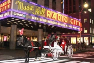 Ciudad de Nueva York: Paseo de 45 minutos en coche de caballos por Central Park