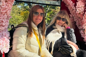 New York City: Stadsvandring med cykeltaxi i Central Park