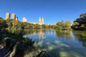 New York City: Stadsvandring med cykeltaxi i Central Park