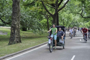 New York City: Central Park Private Pedicab Tour