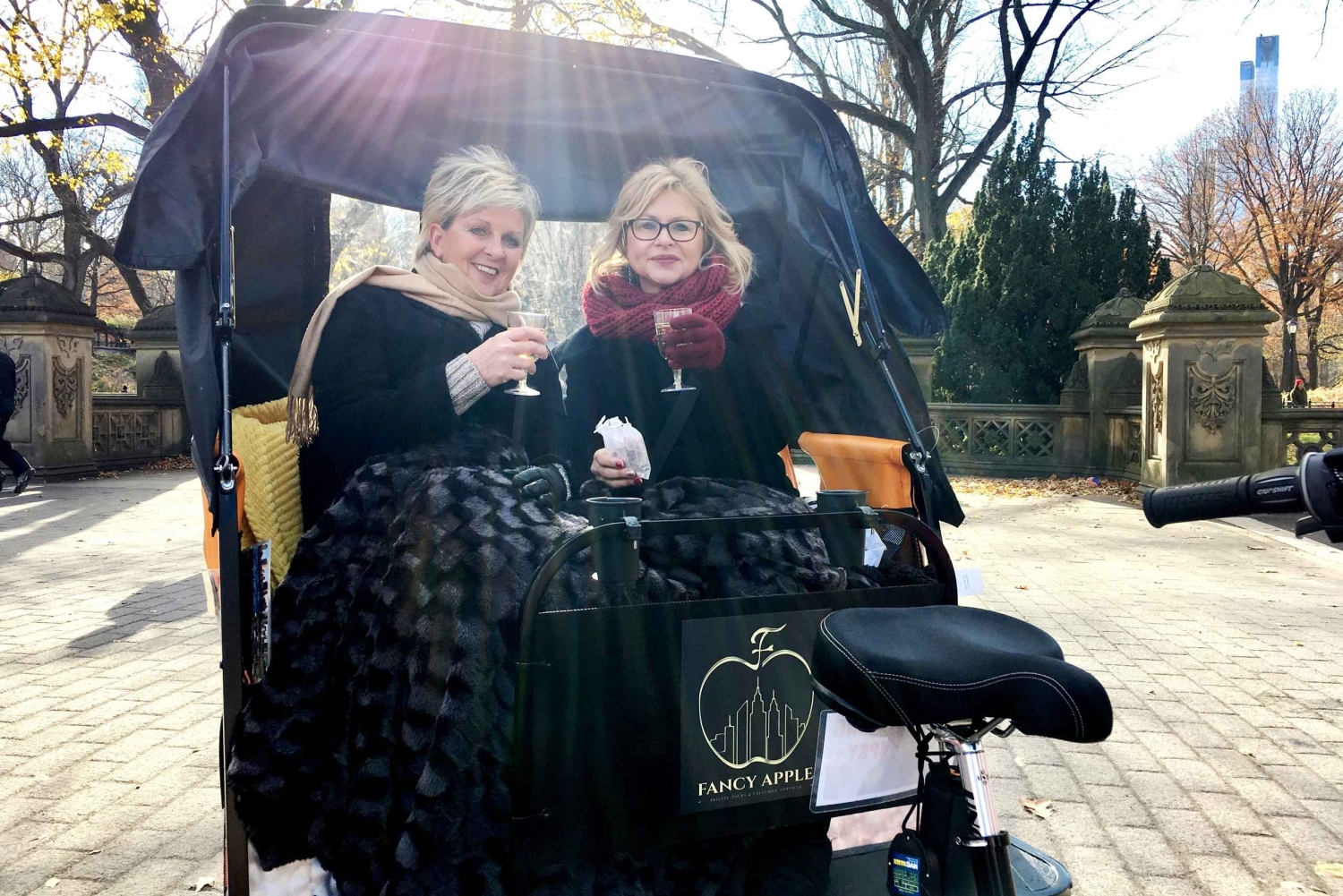 Нью-Йорк: экскурсия по Центральному парку на велорикше