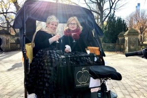 New York City: Central Park Tour by Pedicab