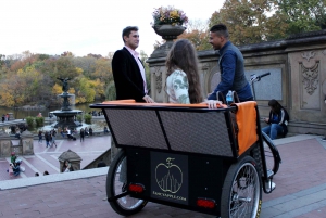 Nova York: Central Park Tour de Pedicab