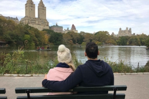 Nowy Jork: Central Park Tour by Pedicab