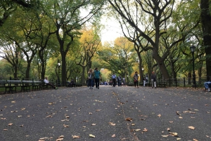 Nova York: Central Park Tour de Pedicab