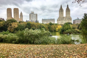 New York stad: Central Park-tur med trampbil