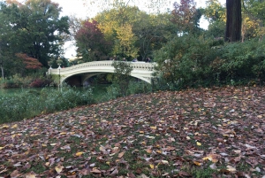 New York City : Visite de Central Park en cyclo-pousse