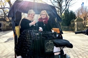 Нью-Йорк: экскурсия по Центральному парку на велорикше