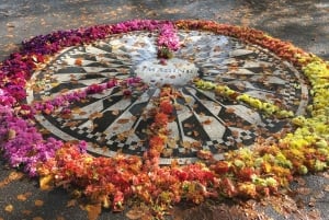 Нью-Йорк: экскурсия по Центральному парку на велорикше