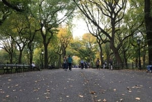 Нью-Йорк: экскурсия по Центральному парку на велорикше