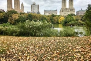 Нью-Йорк: экскурсия по Центральному парку на велорикше