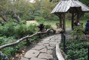 Нью-Йорк: экскурсия по Центральному парку на велорикше