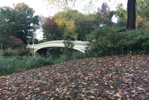 Нью-Йорк: экскурсия по Центральному парку на велорикше