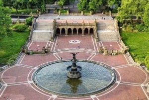 New York: tour guidato a piedi di Central Park con una guida