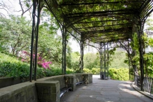 New York City: Central Park Walking Tour med guide