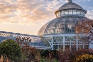 Nova York: Excursão a pé pelo Central Park com um guia