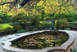 Nova York: Excursão a pé pelo Central Park com um guia