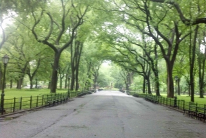 New York City: Byvandring i Central Park