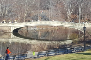 Central Park: tour a pie por el parque