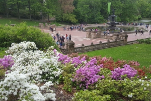 Ciudad de Nueva York: Tour a pie por Central Park